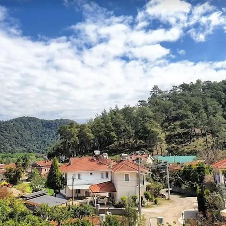 Bucak & 4* גוג'ק