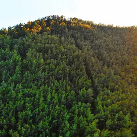 Bucak & Gocek (Fethiye)